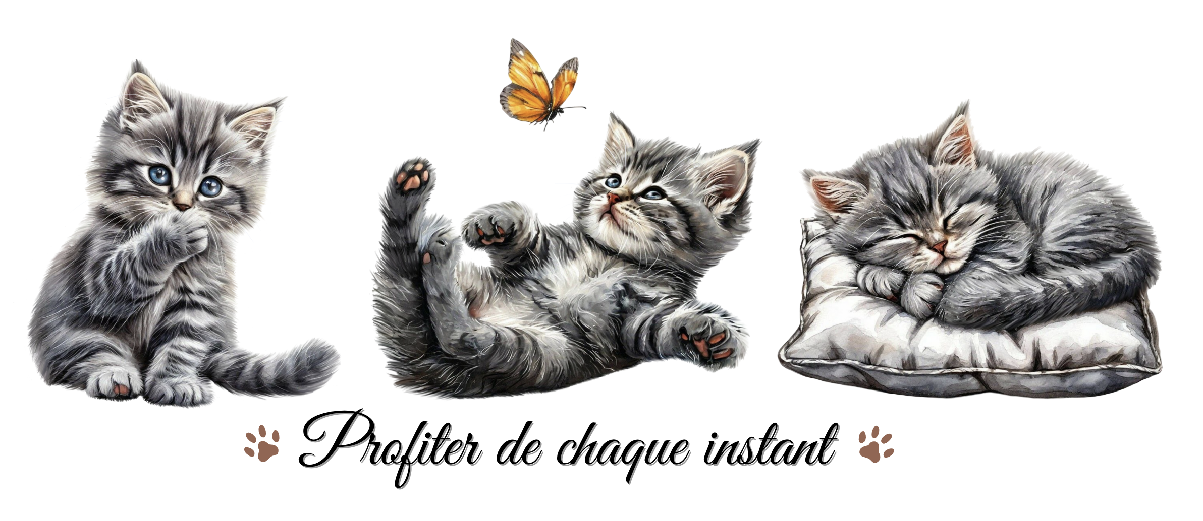 Visuel - Chatons Gris - Les Scrapouz Visuel - Chatons Gris - Les Scrapouz